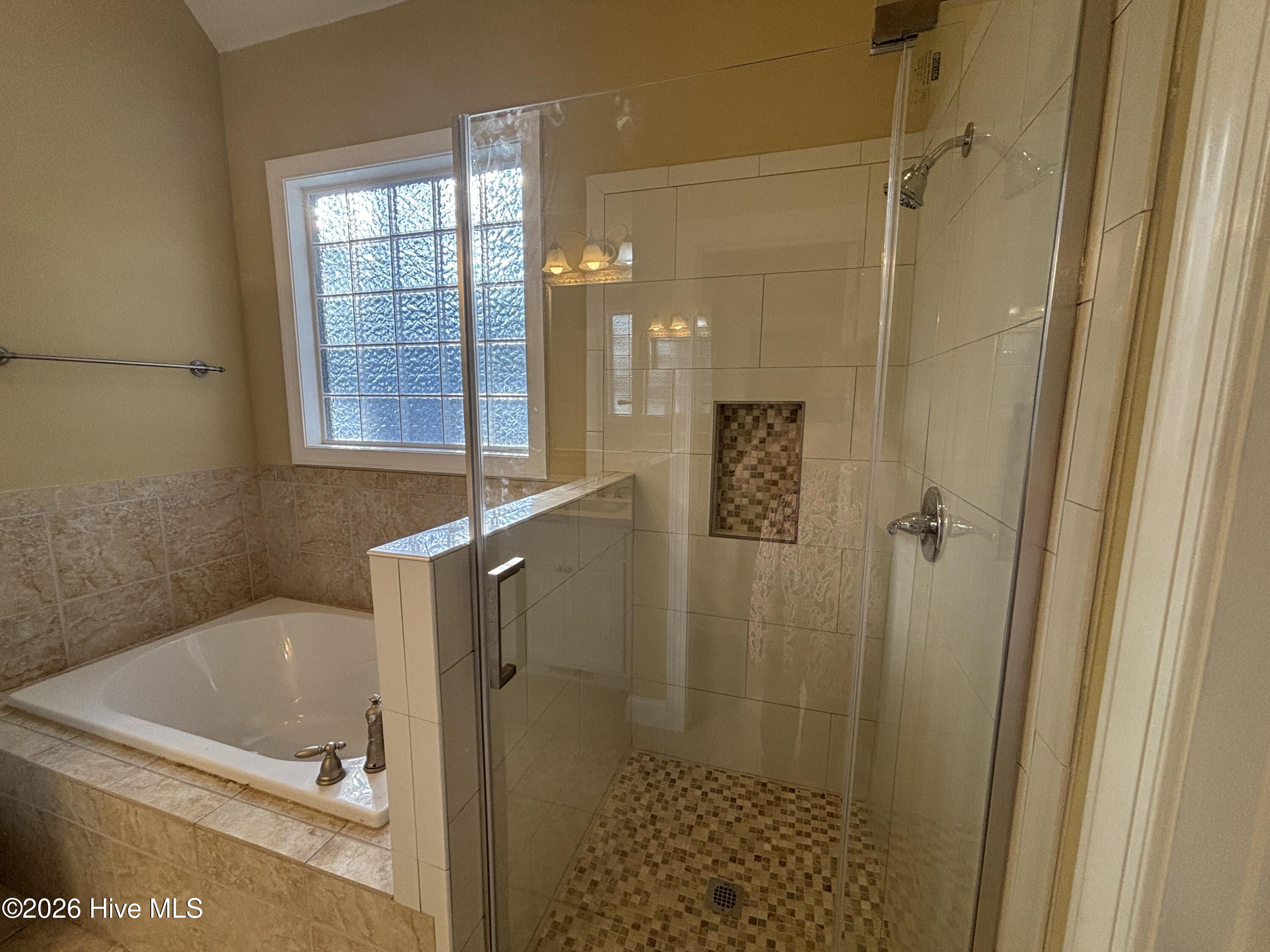 Master bath garden tub and separate shower