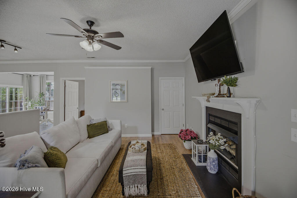 100565606 | Photo 13