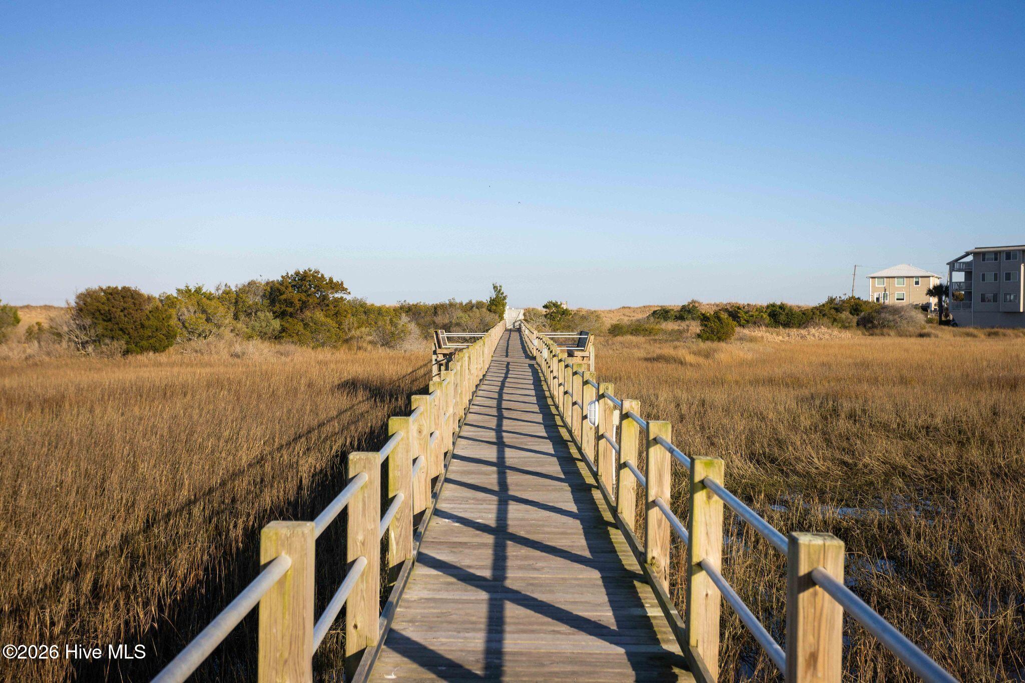 100554597 | Photo 61