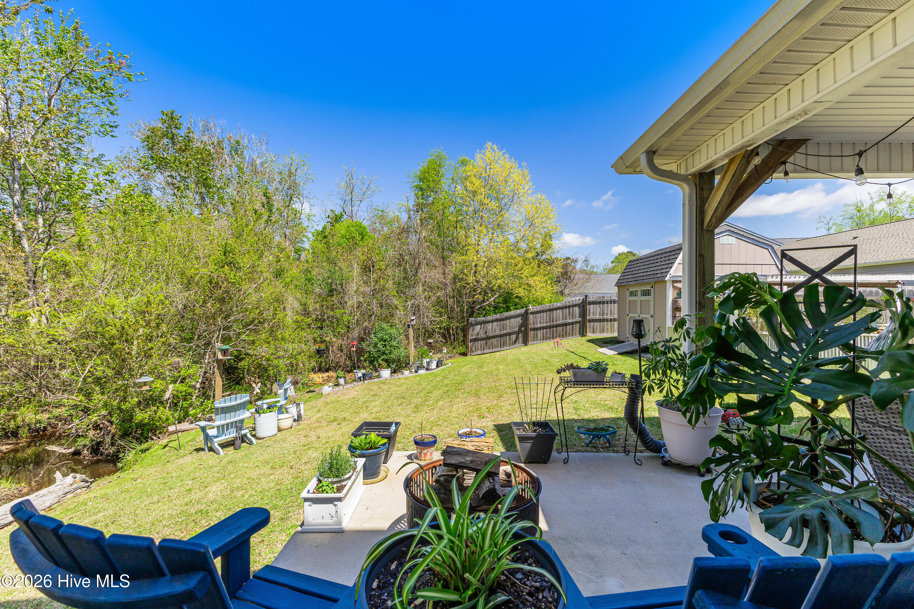 100565861 | Photo 62