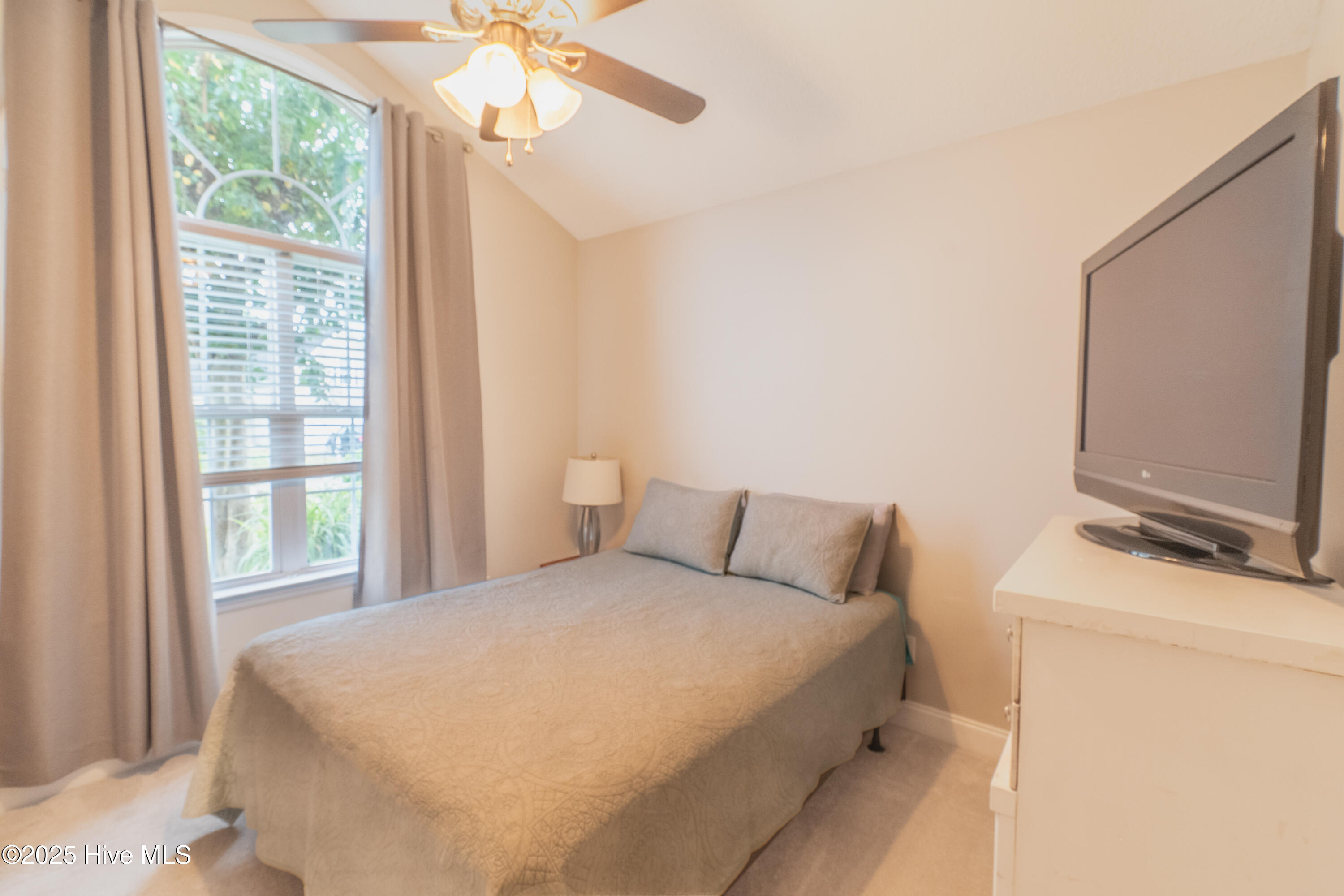 100531155 | Photo 15