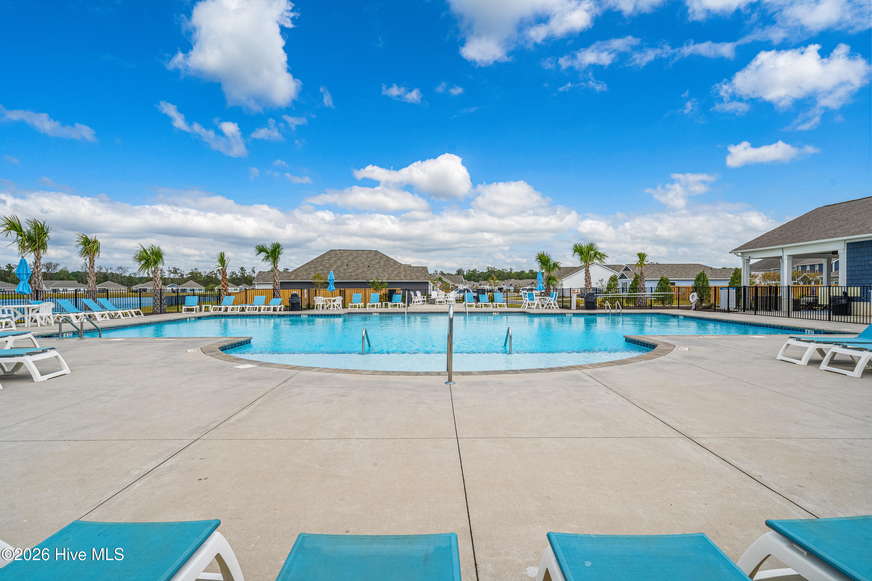 100566439 | Photo 16