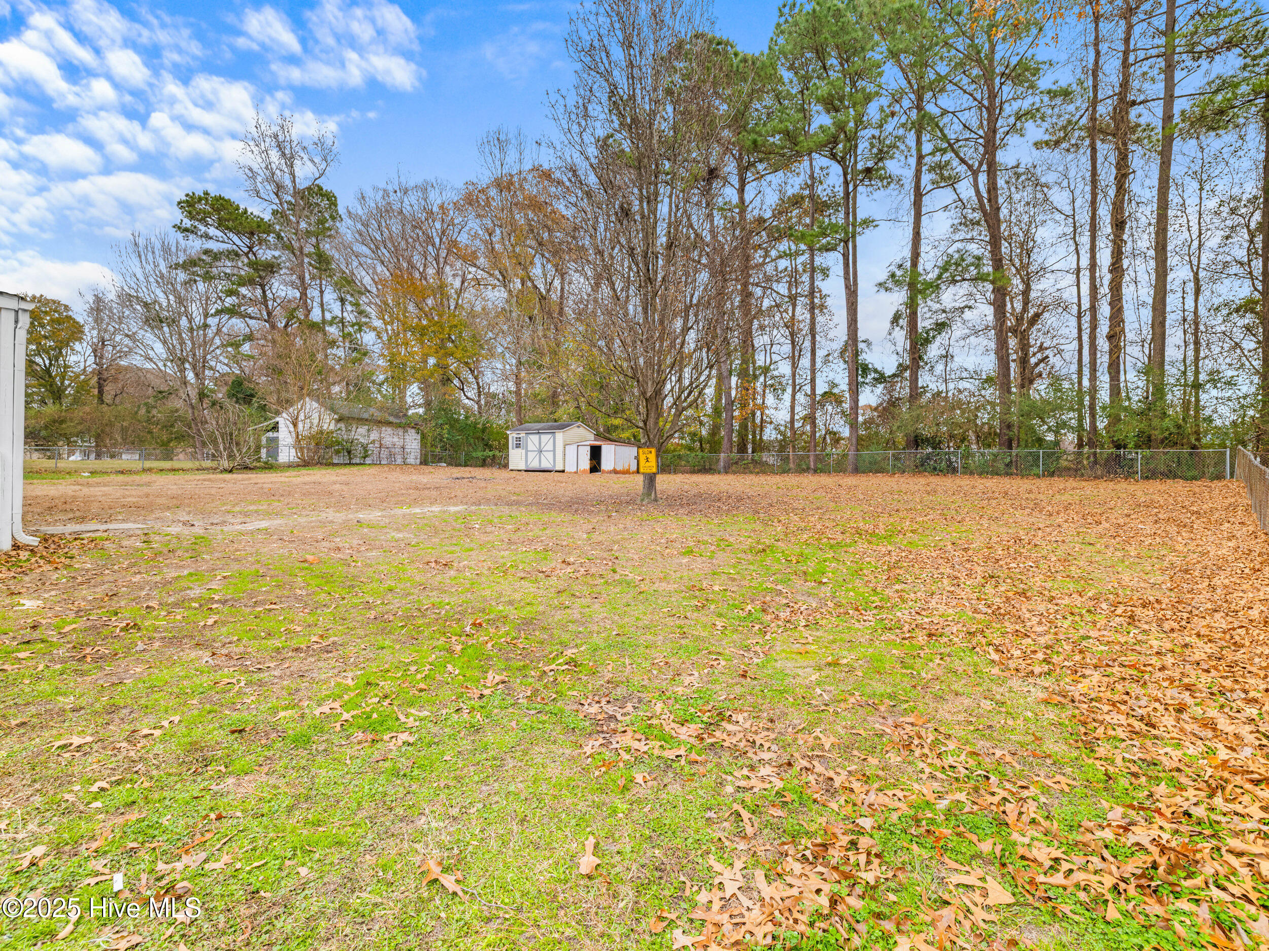 100546009 | Photo 49