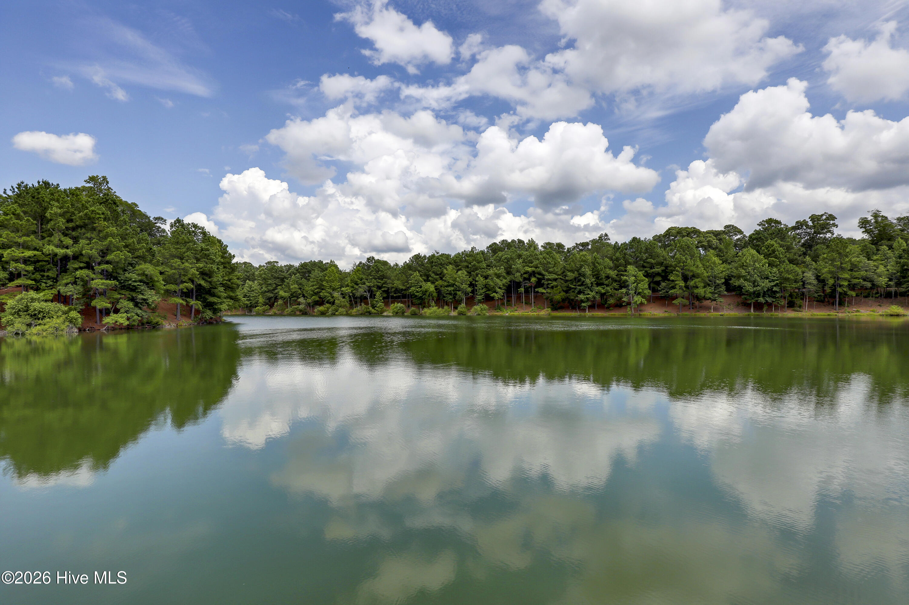 100548611 | Photo 52