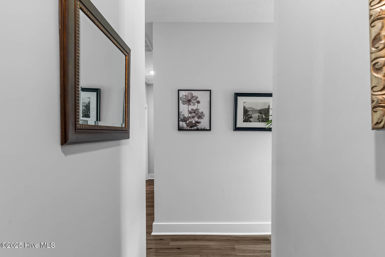 100544097 | Photo 33