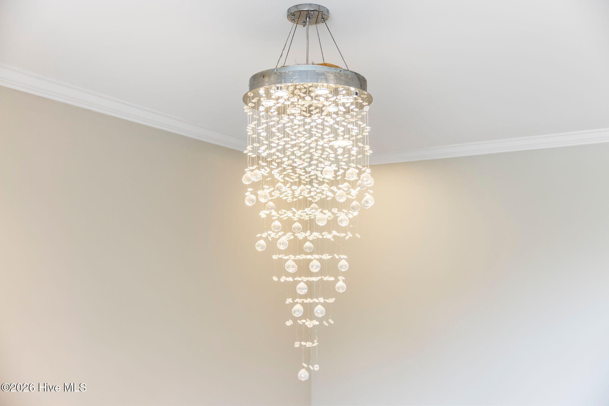 100553307 | Photo 59