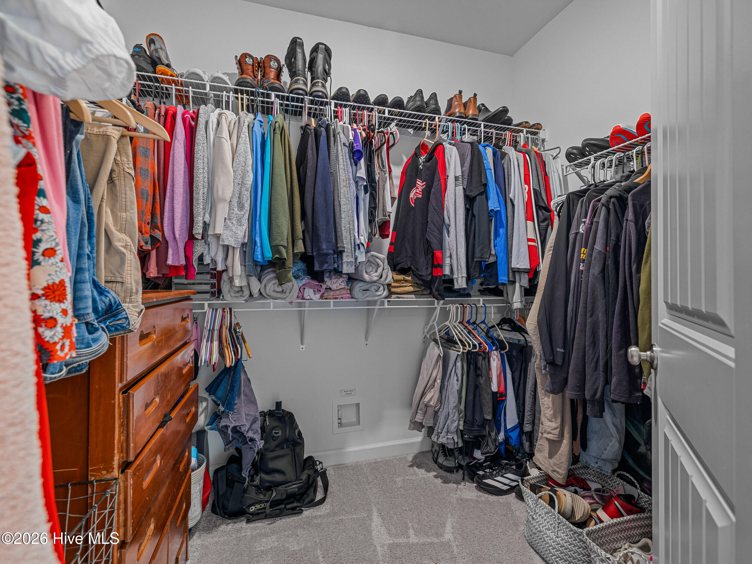 100558096 | Photo 41