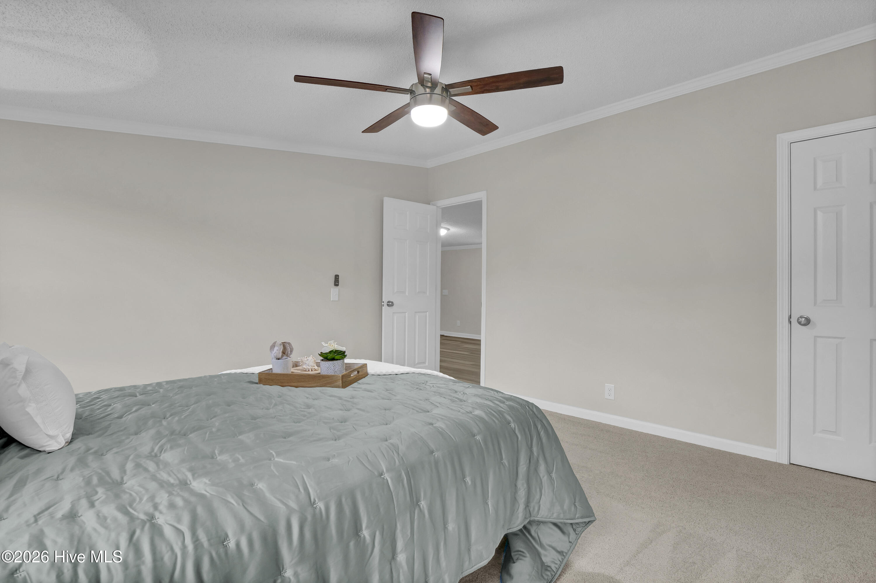 100550889 | Photo 19