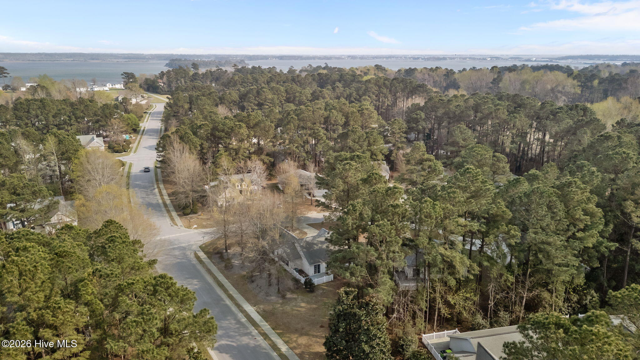 100563135 | Photo 43