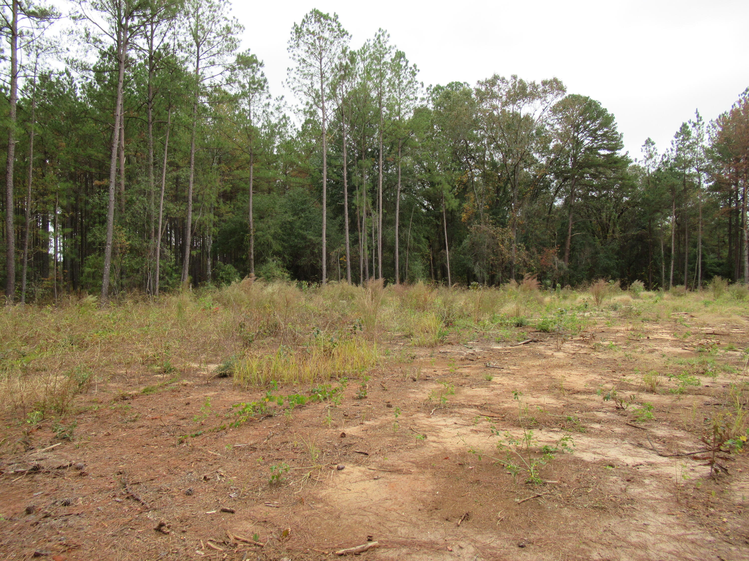 0 TWIN PINES RD., Keysville, GA, 30816