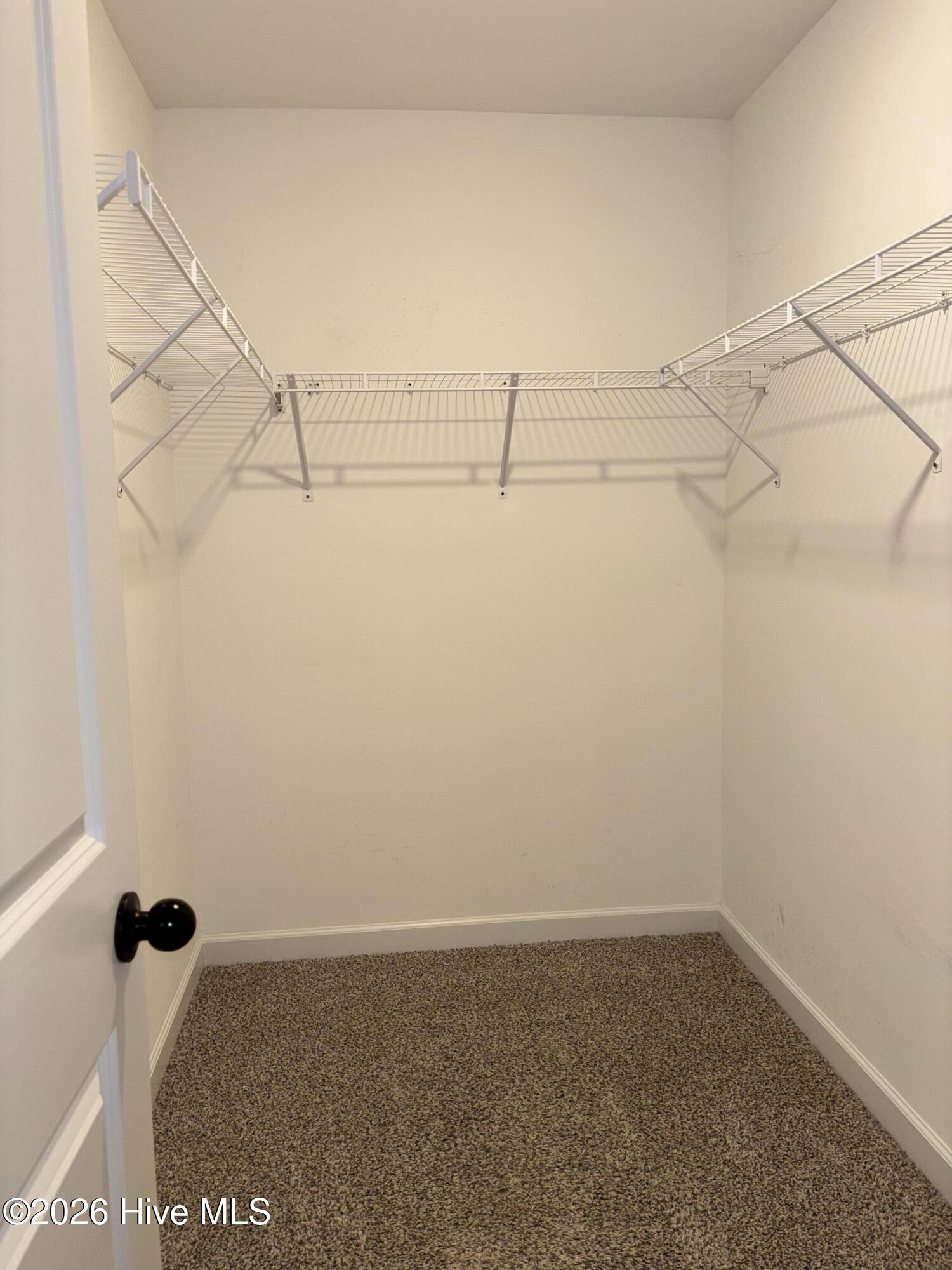 100560134 | Photo 20