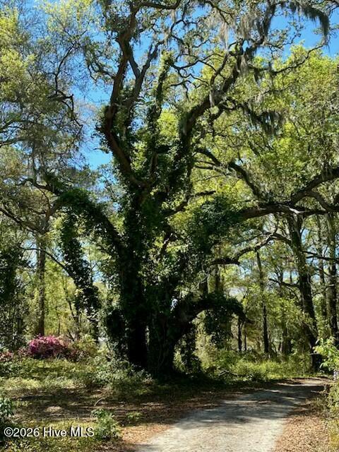 100558842 | Photo 15