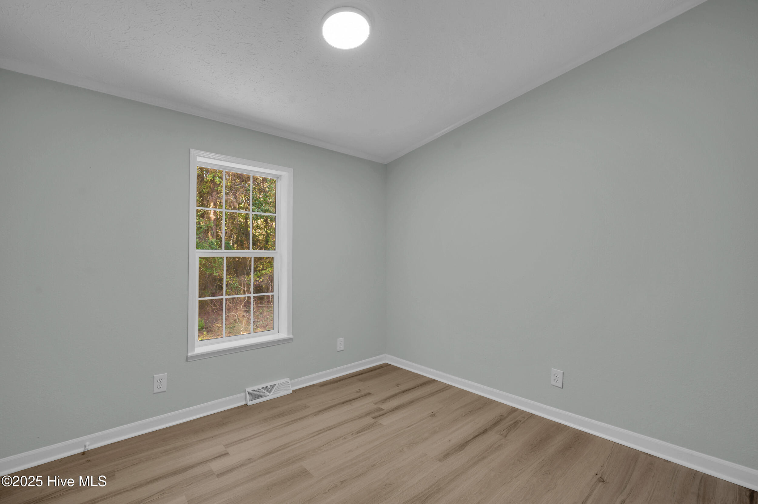 100537277 | Photo 26