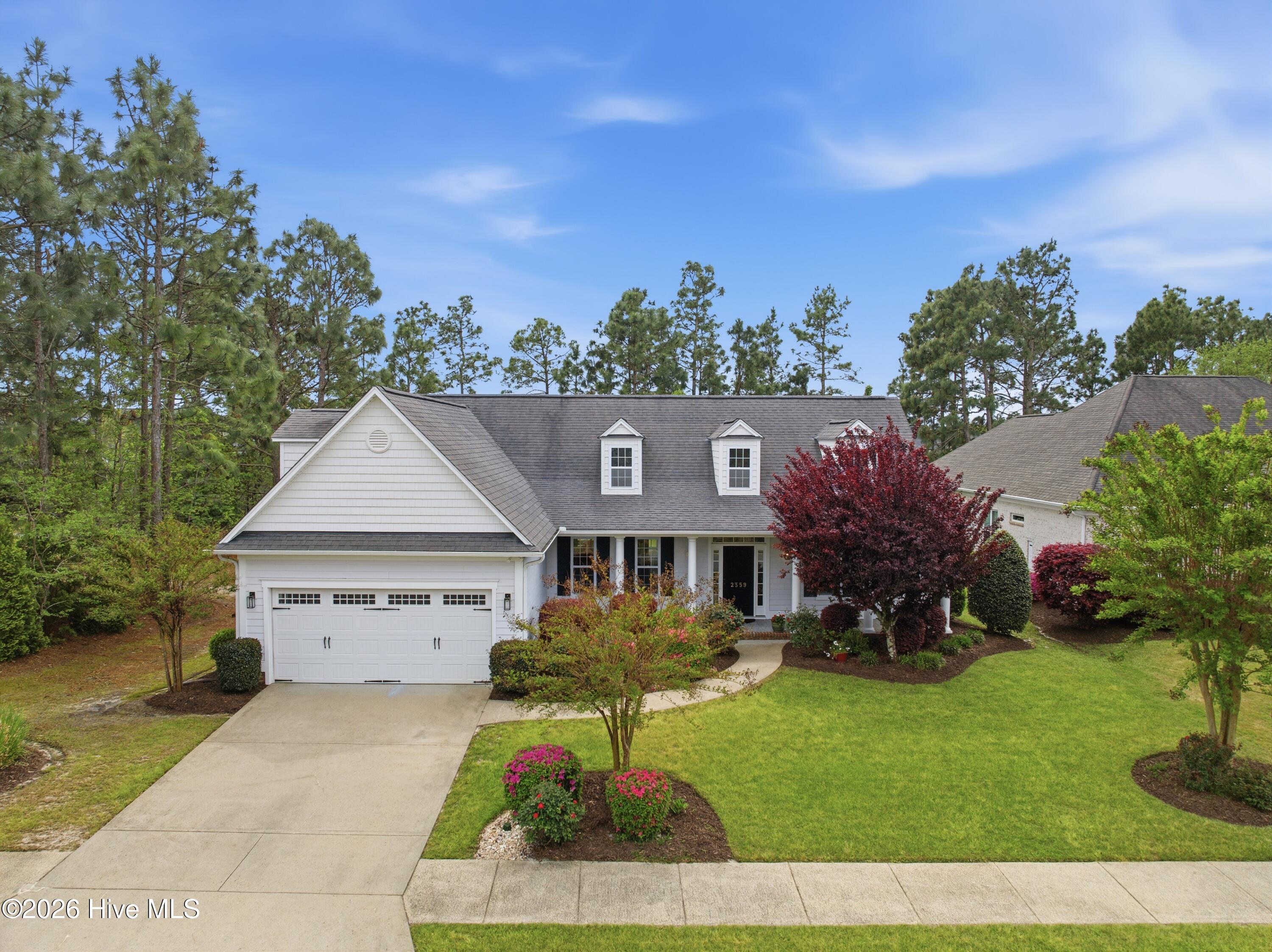 100565162 | Photo 58