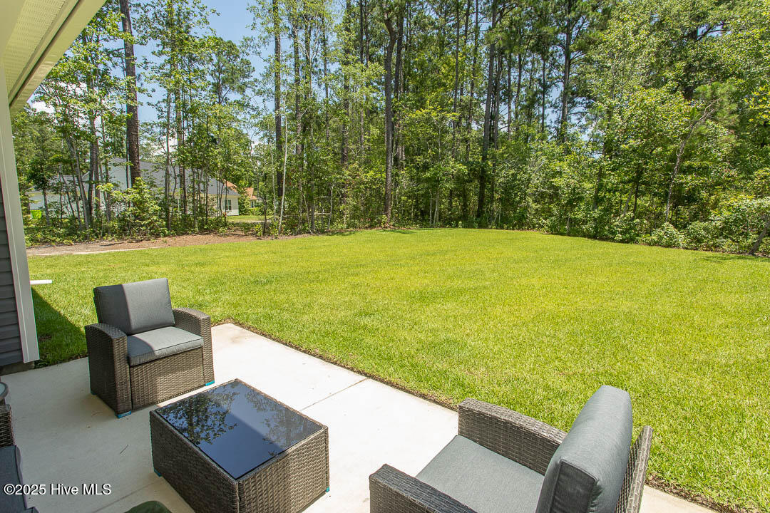 100541547 | Photo 37