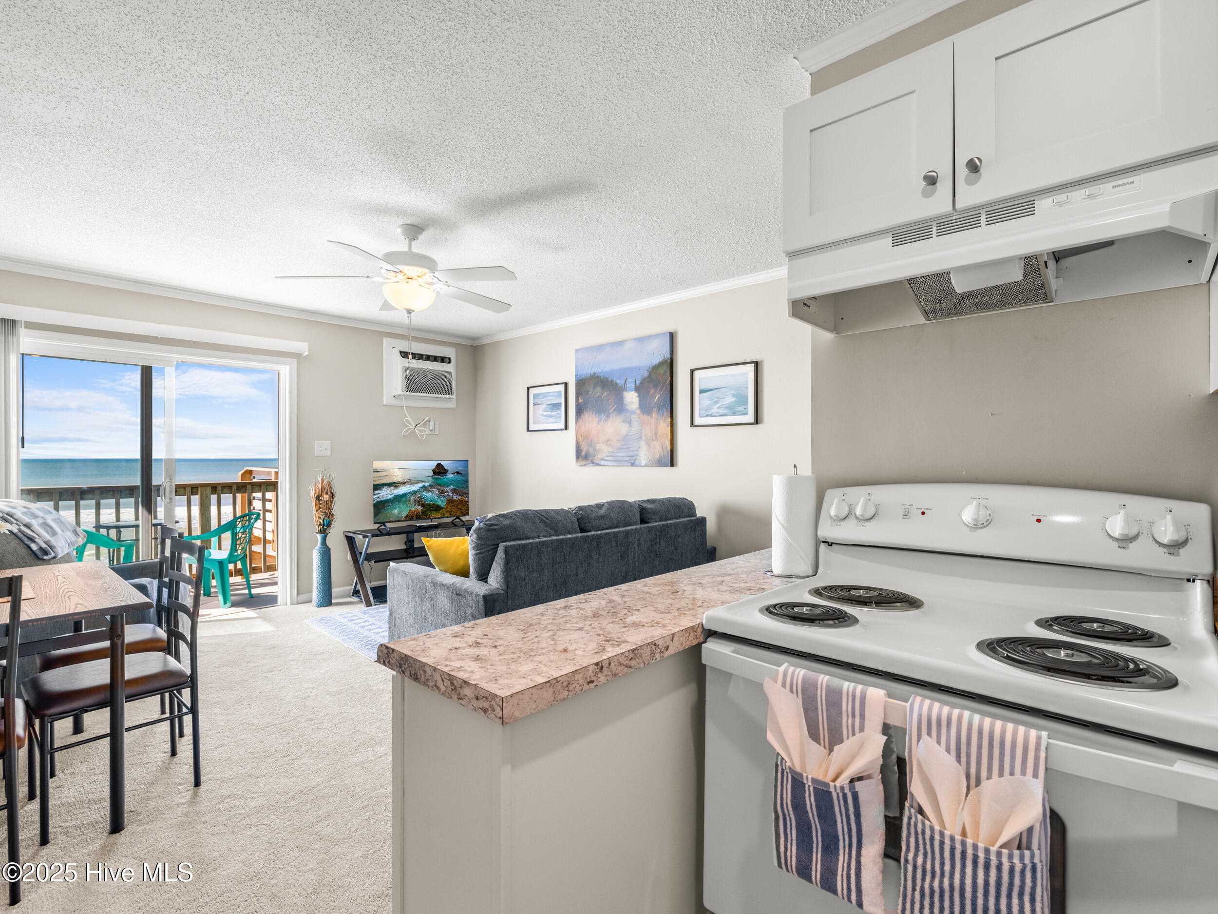 100537289 | Photo 10