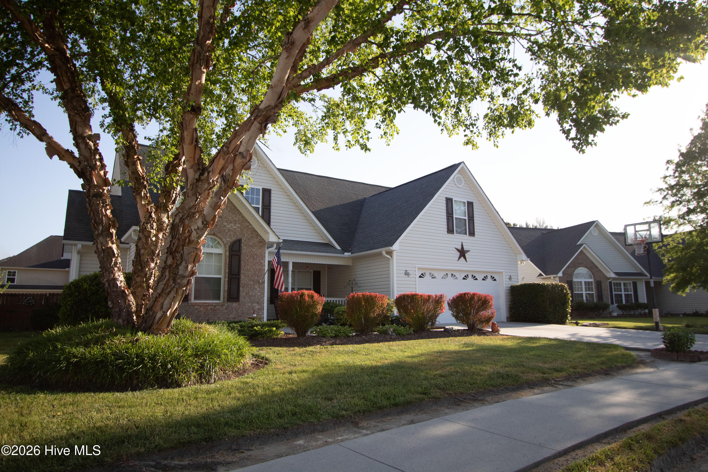 100569230 | Photo 31