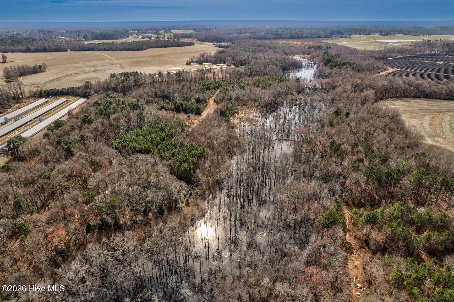 061-13064EthridgeRoad-Whitakers-NC-27891