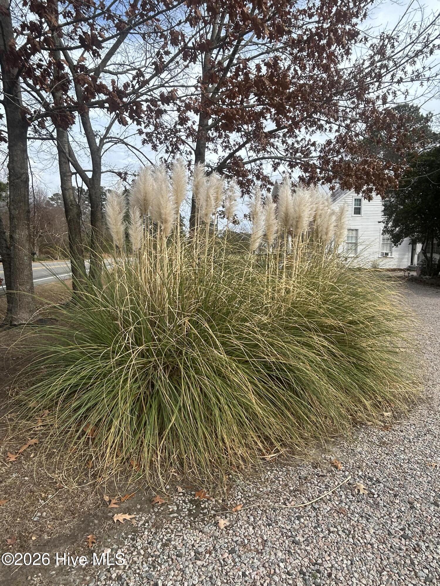 Homes for sale in Roper, NC | 11550 N Nc Hwy 32 N, Roper, NC 27970 | MLS# 100536067