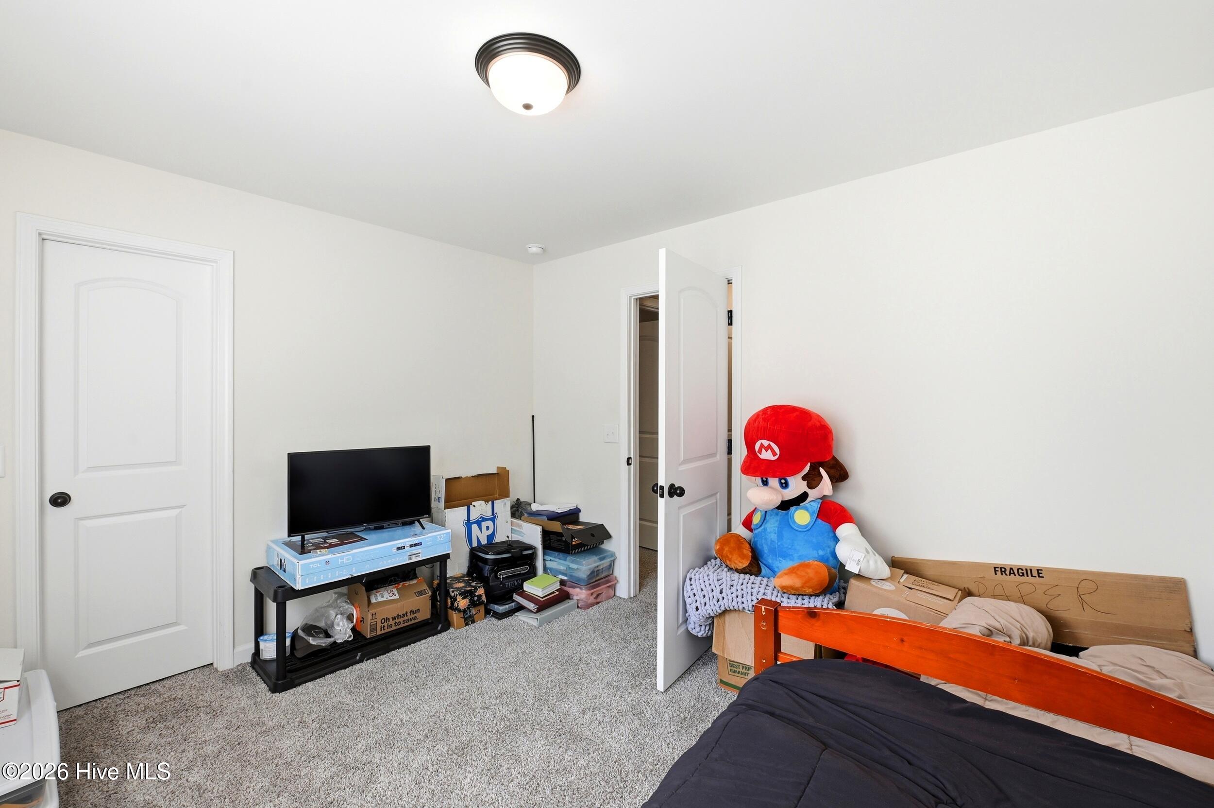 100568346 | Photo 31