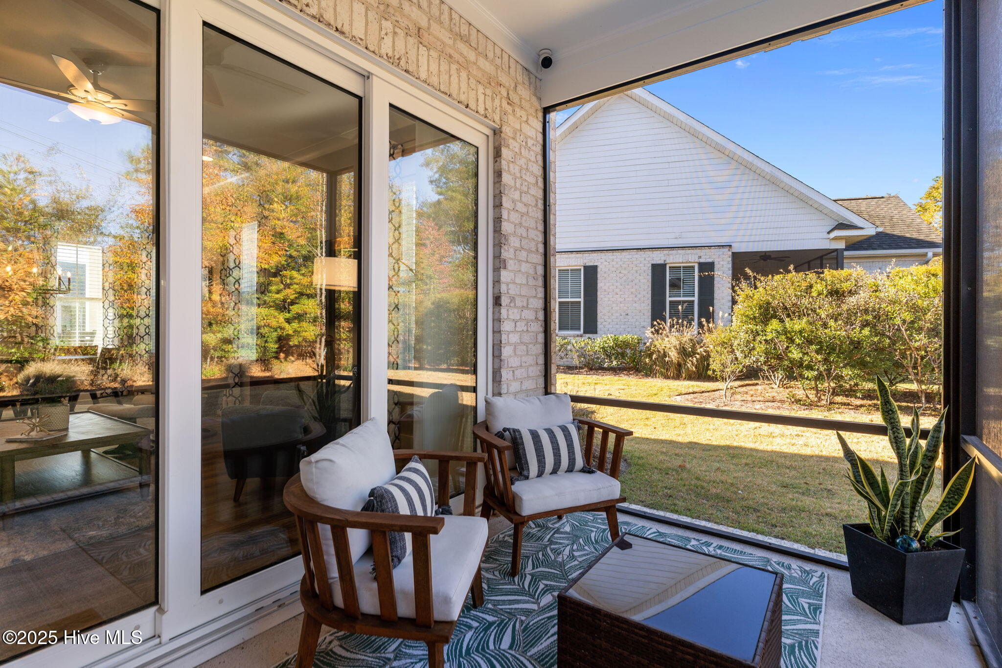 100543131 | Photo 39