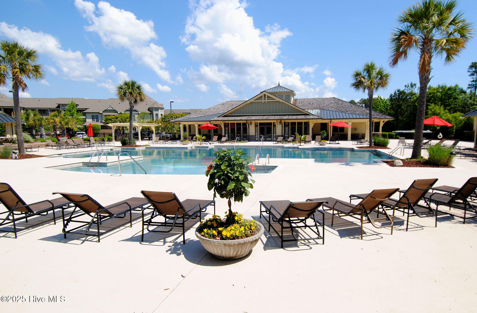 100536723 | Photo 40