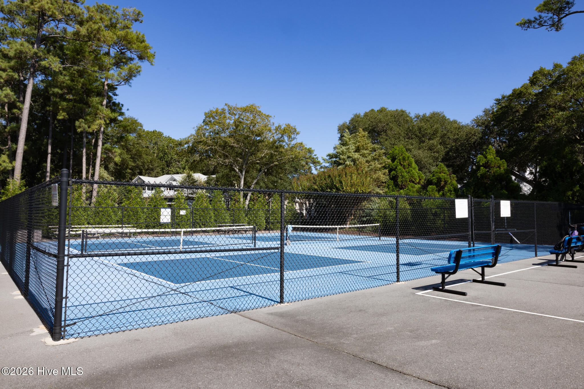 100547125 | Photo 44