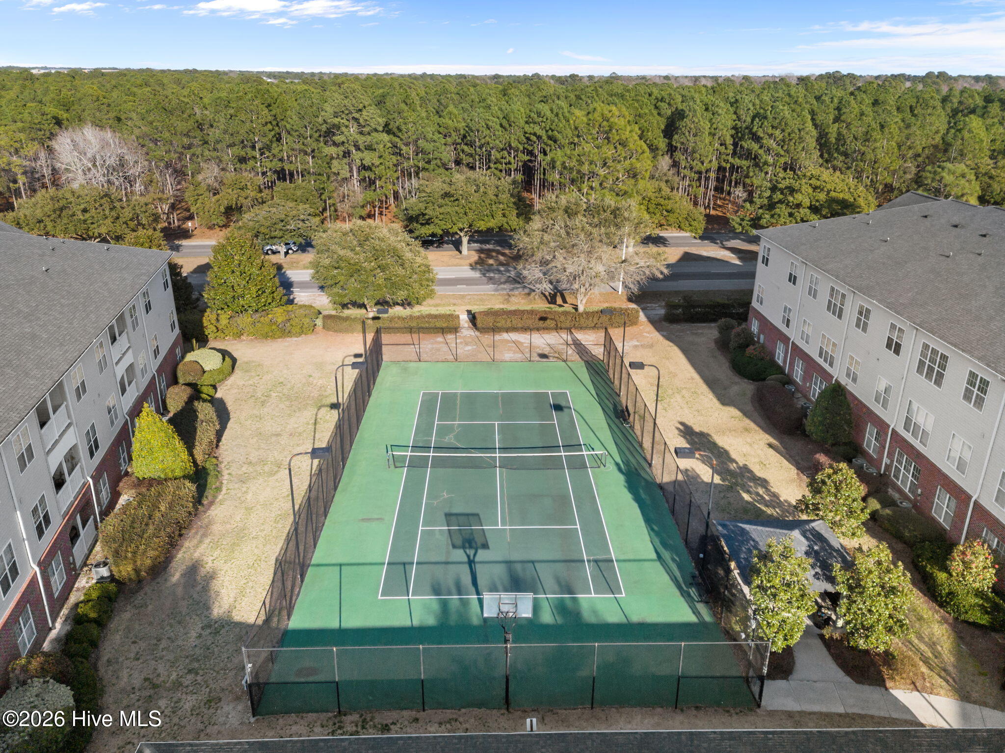 100558986 | Photo 21