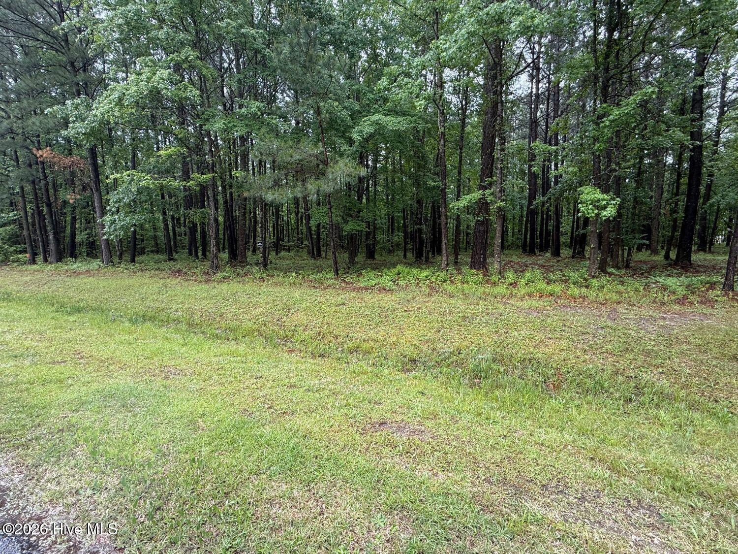 Exterior photo of 0 Stillwater Drive, Belhaven, NC 27810. MLS: 100600248
