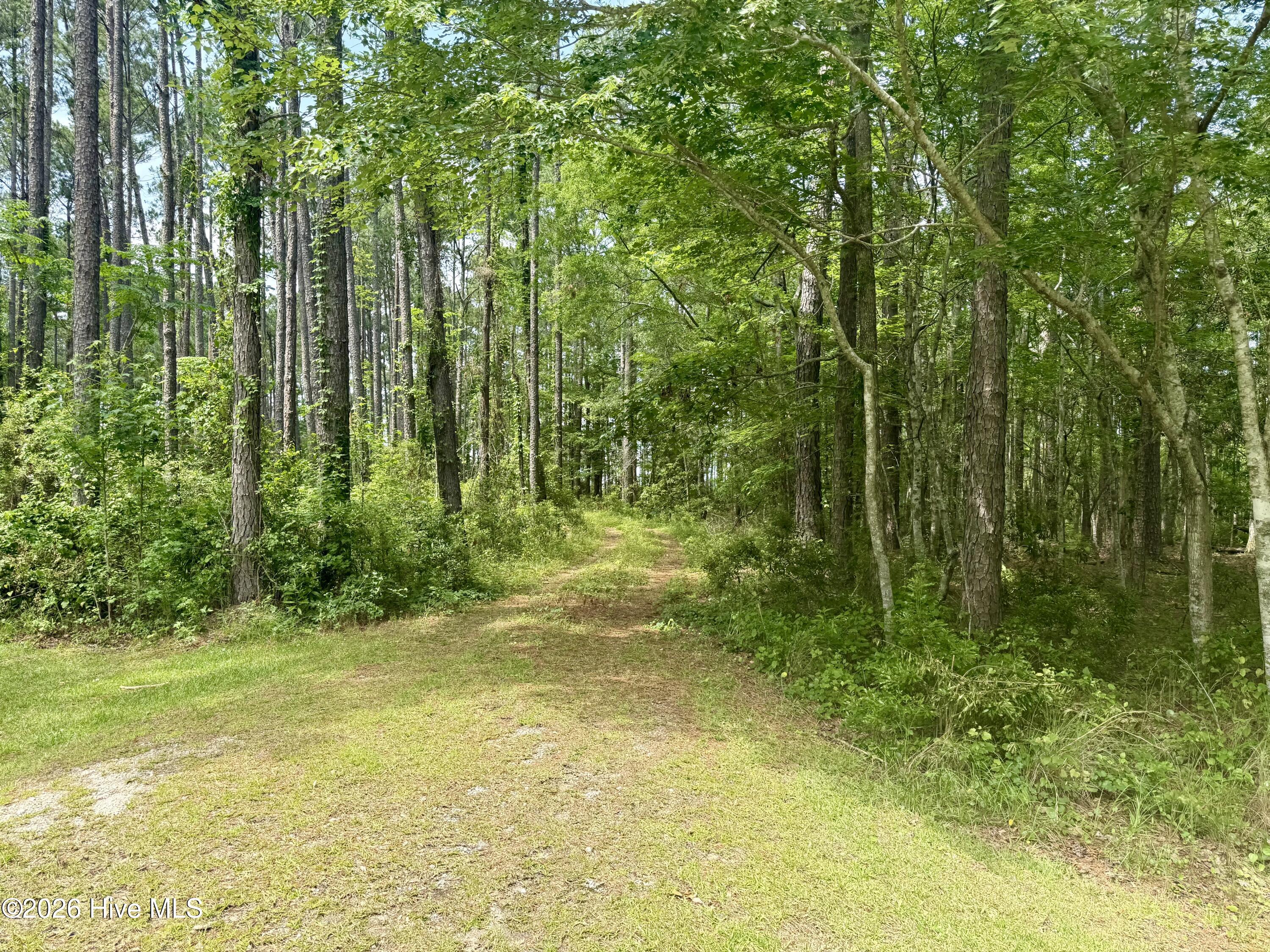 558 Sandy Point 