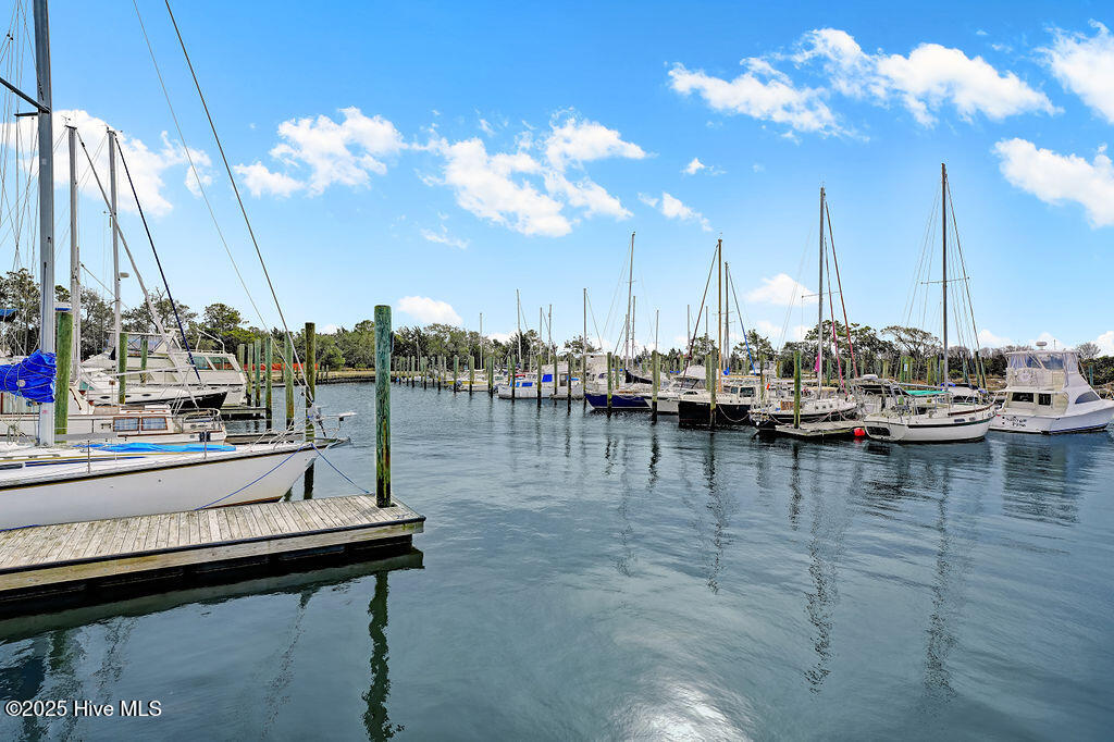 100504453 | Photo 64