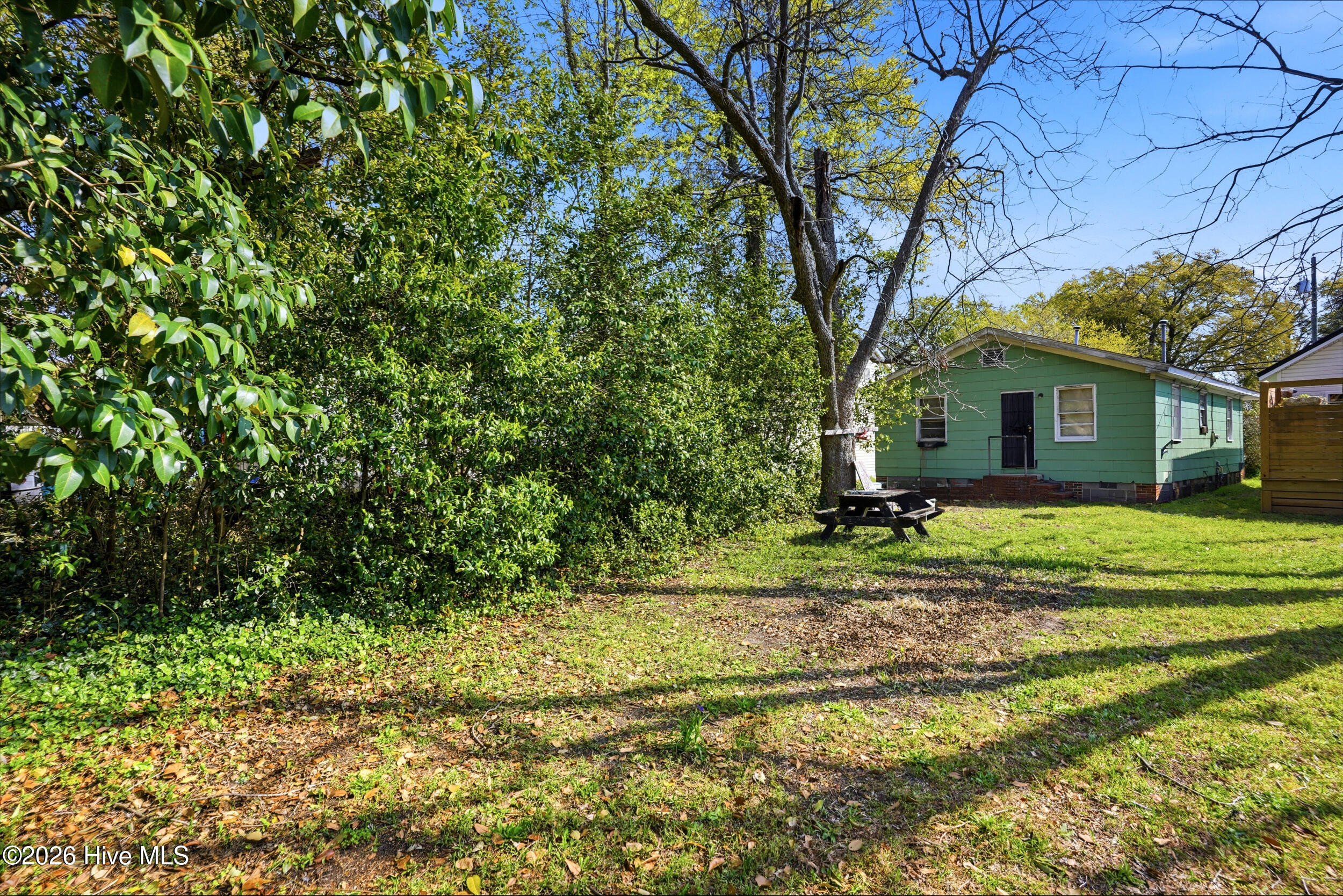 100564252 | Photo 19