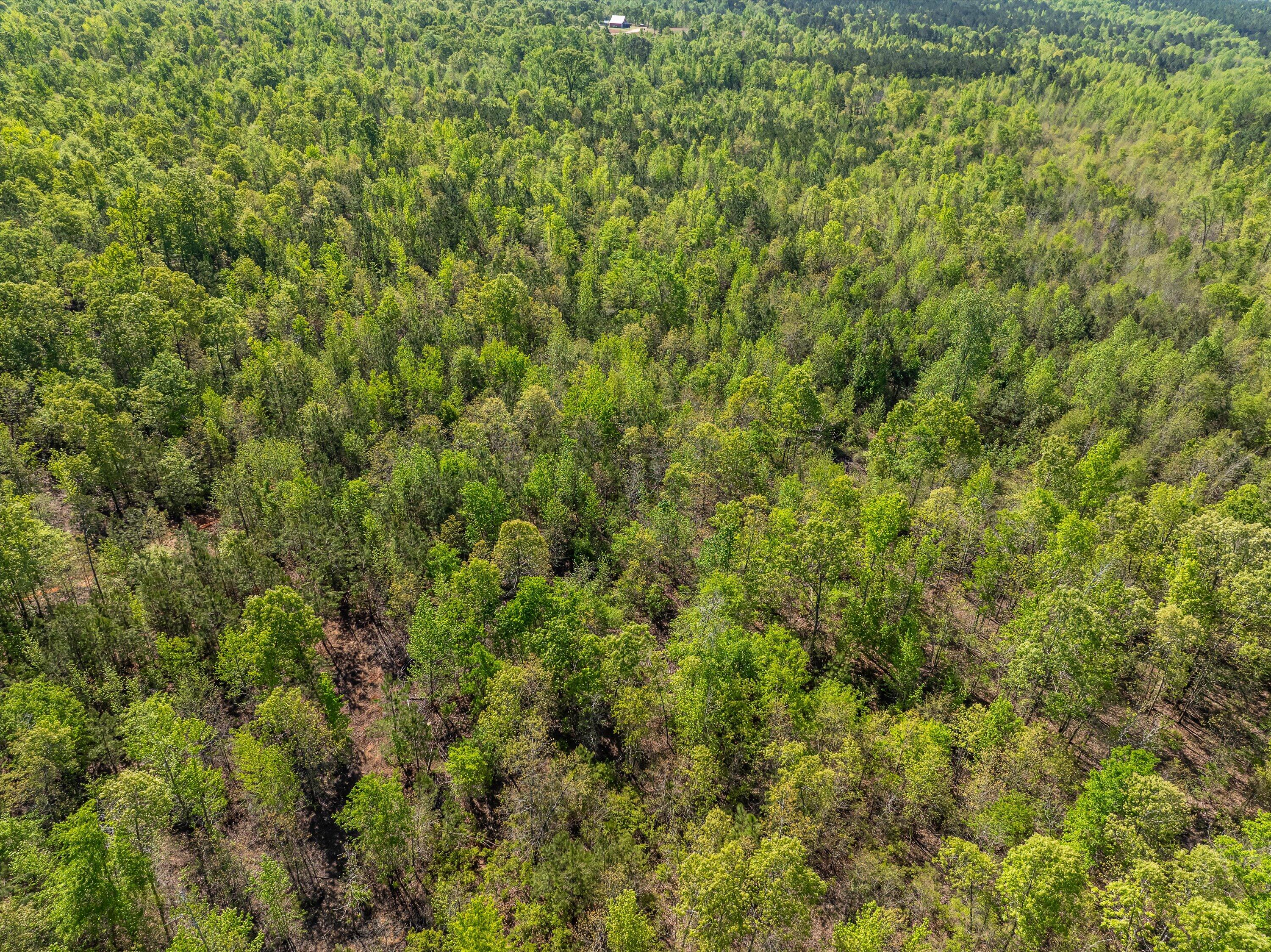 23-DJI_0692-HDR