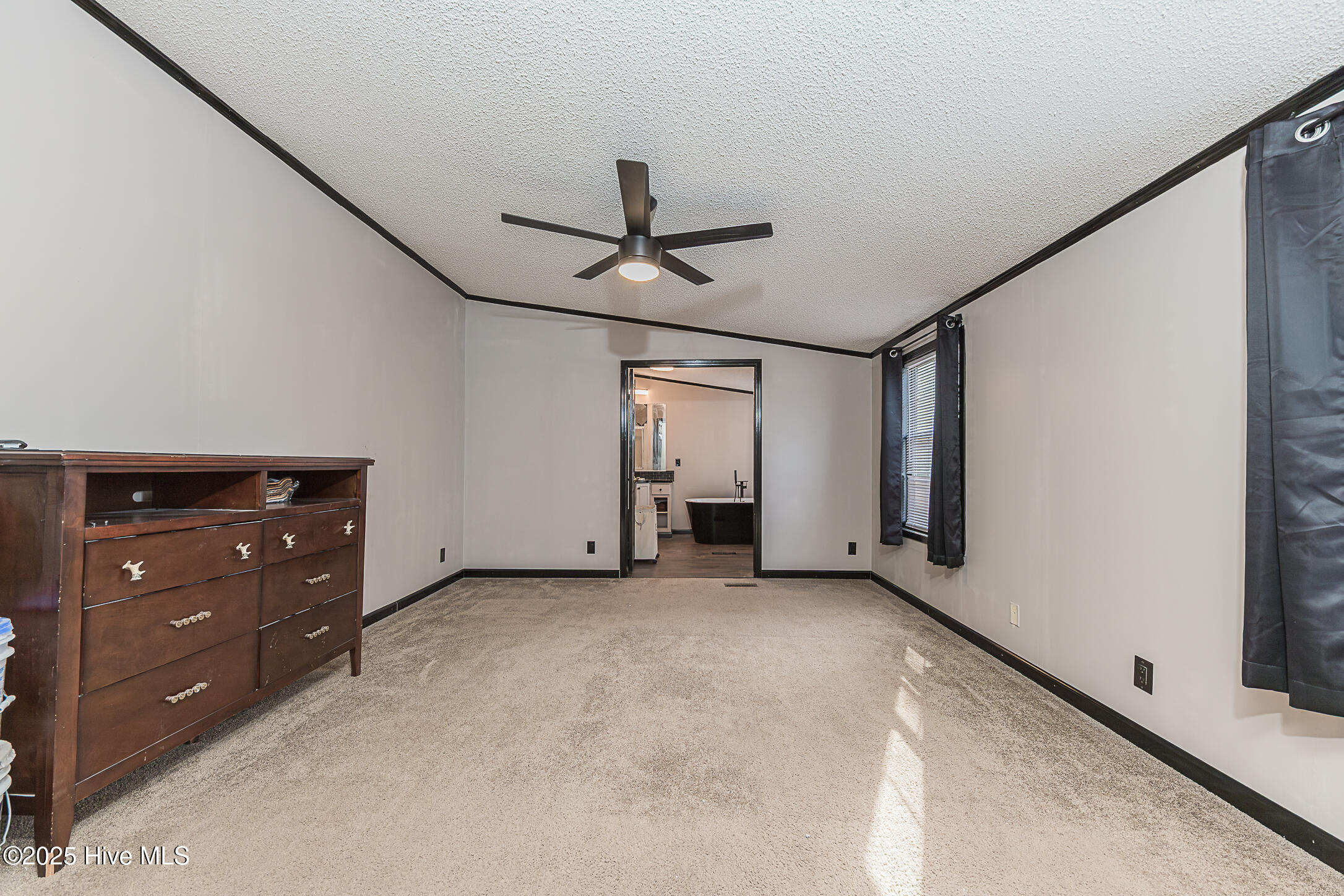 100546784 | Photo 31