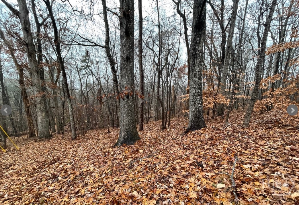 Homes for sale in Westminster, SC | Lot 2134 S Arrowhead Dr, Westminster, SC 29693 | MLS# CL344939