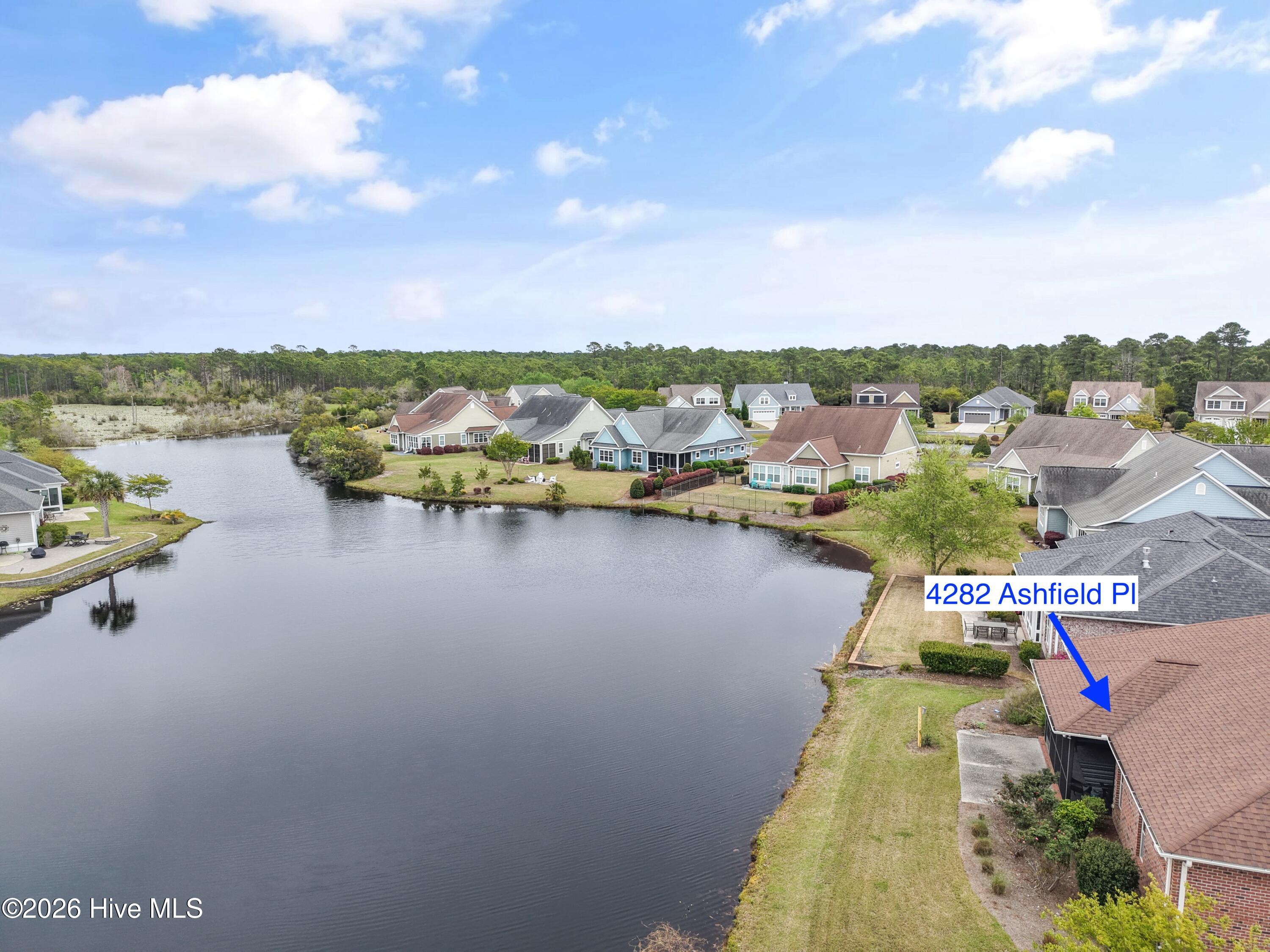 100565695 | Photo 38