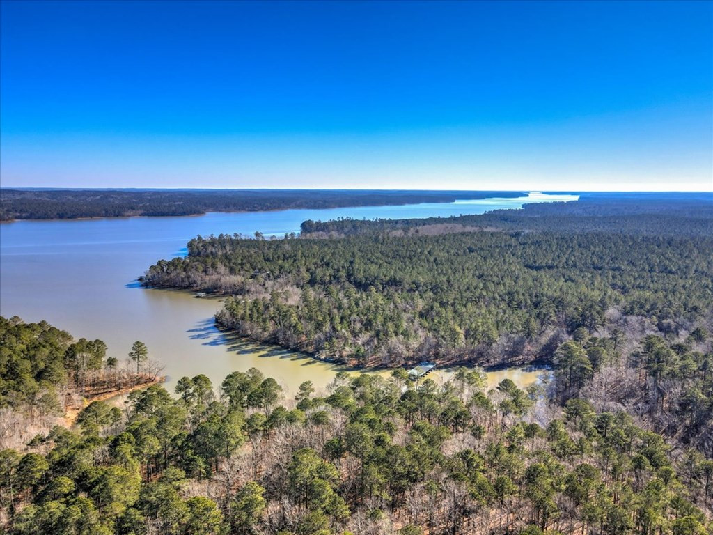 1076 Providence Ferry Road, Lincolnton, GA 30817 Listing Photo  6