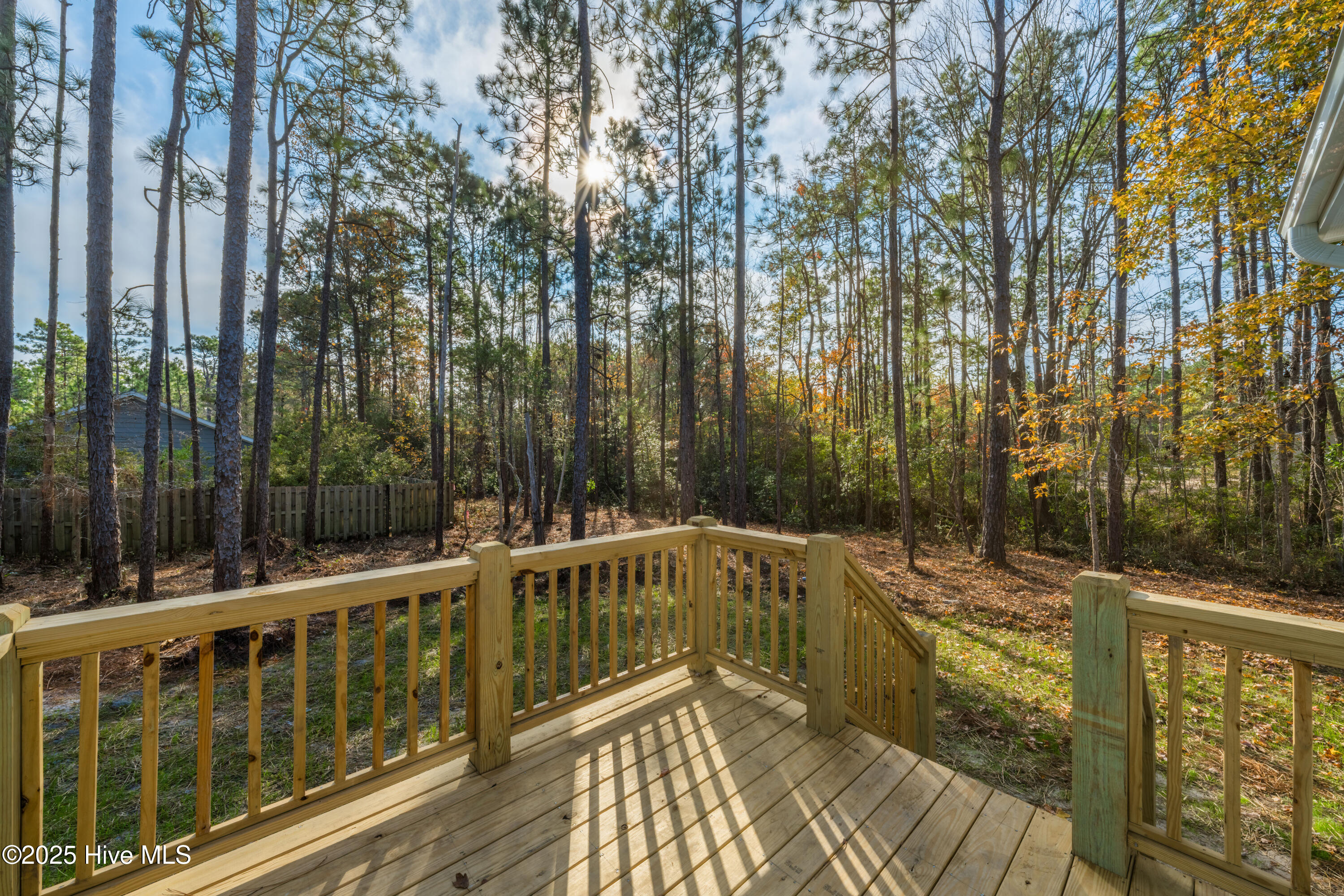 100523019 | Photo 11