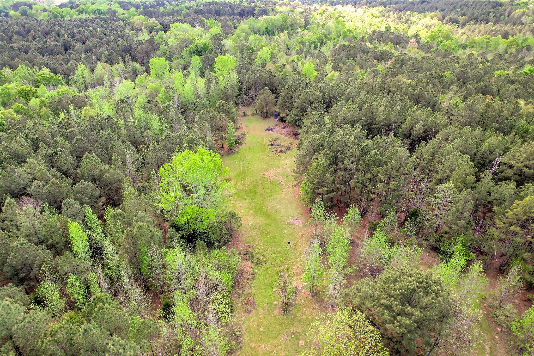 6995 Cobbham Road, Appling, GA, 30802