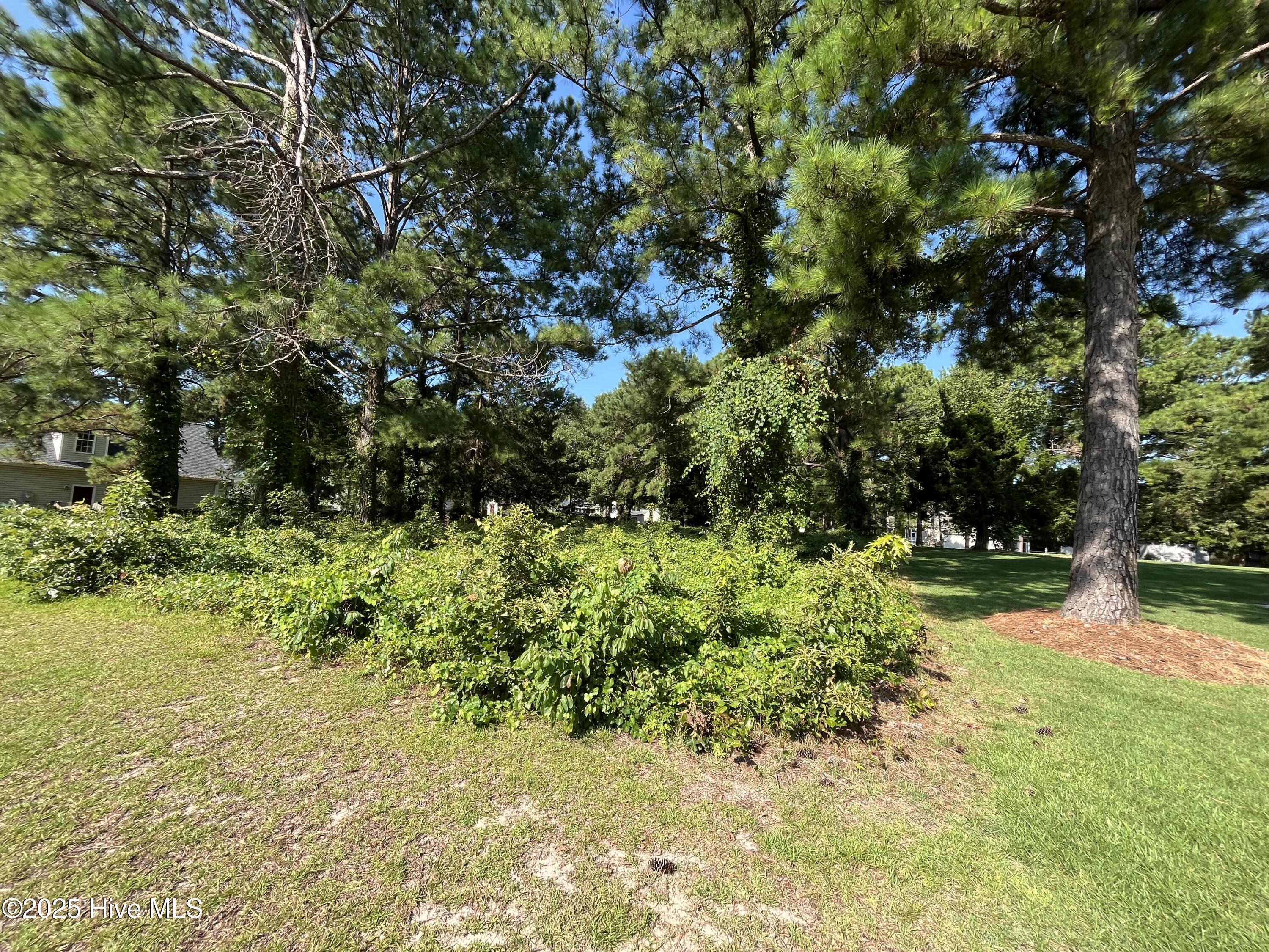 205 Egret Point Drive, Sneads Ferry, NC, 28460