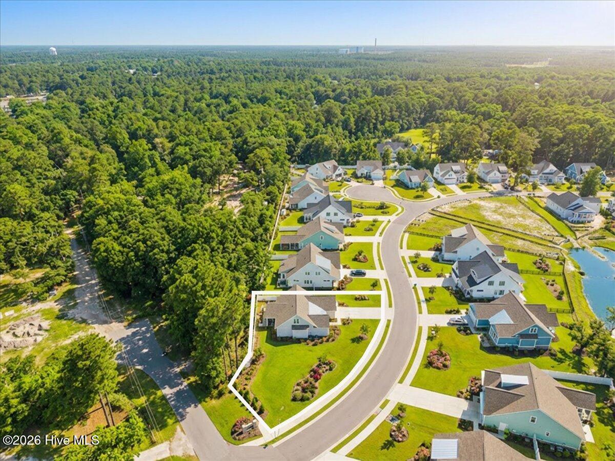 100547880 | Photo 10