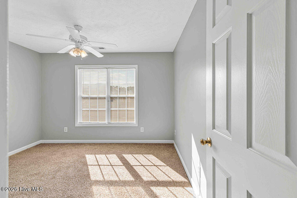 100557733 | Photo 27