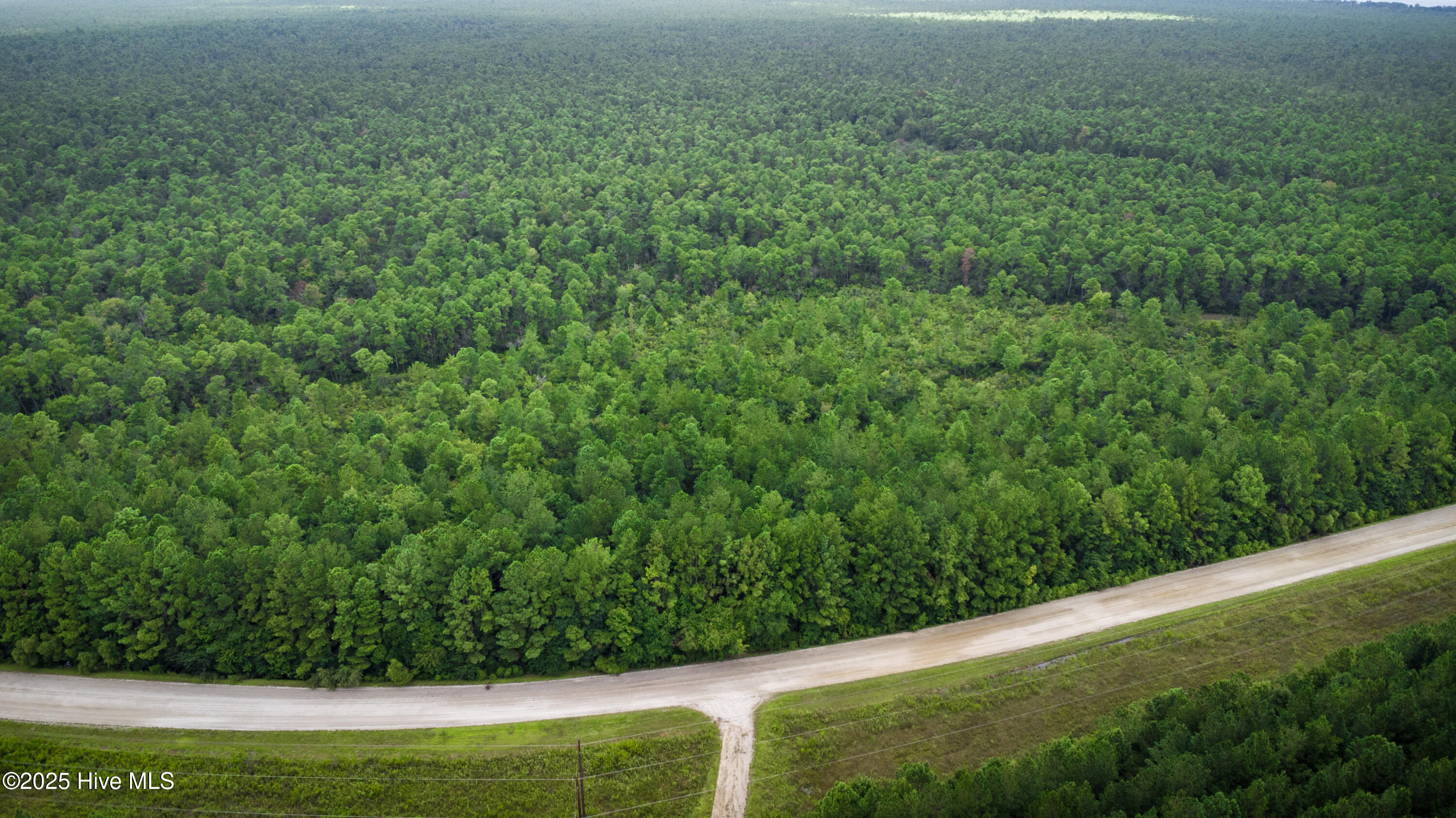 Homes for sale in Maysville, NC | Tbd Catfish Lake Rd, Maysville, NC 28555 | MLS# 100526381