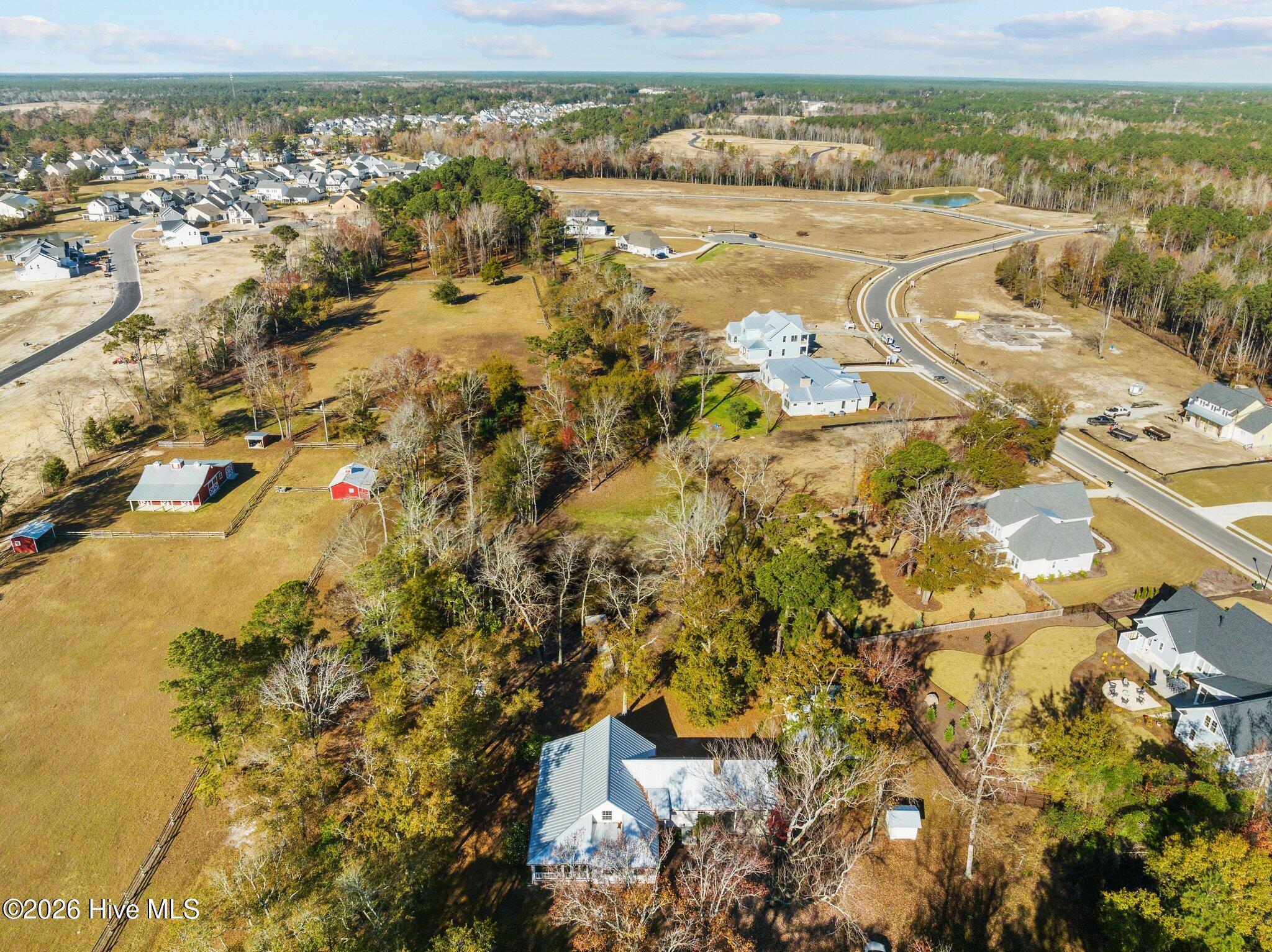 100554619 | Photo 18