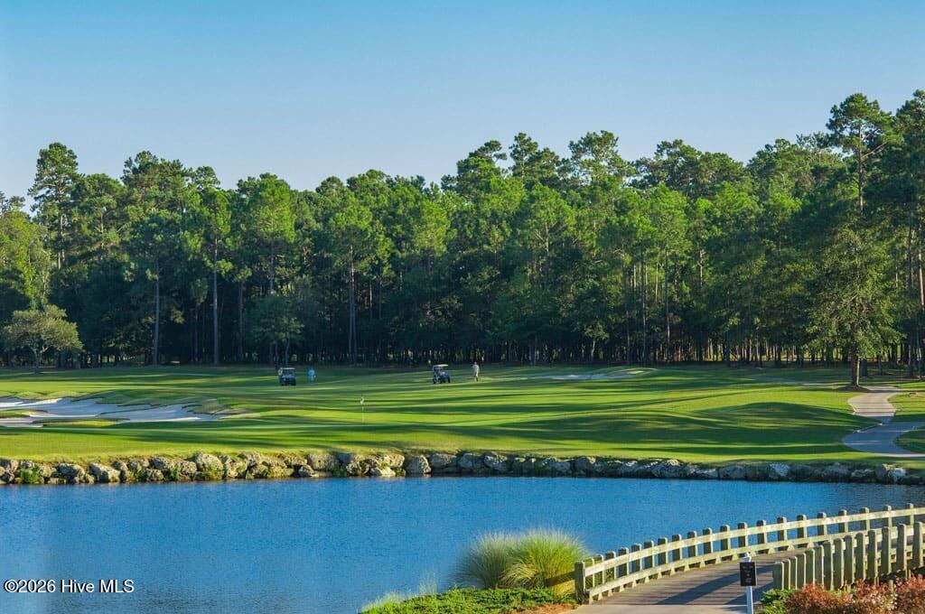 100569587 | Photo 19