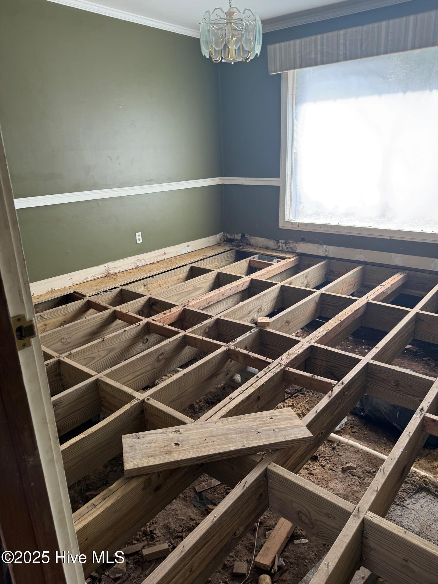 100538518 | Photo 28