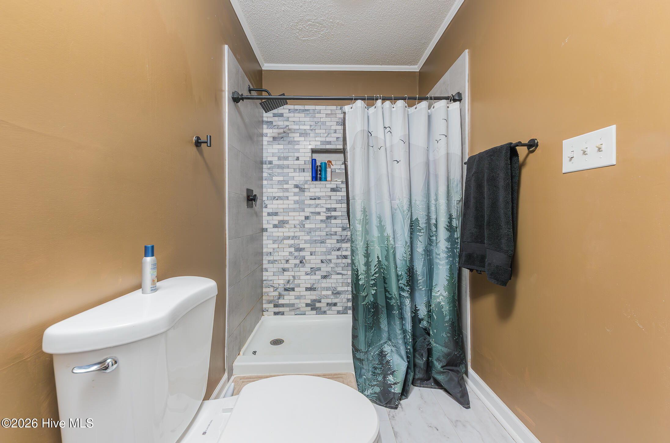 100558087 | Photo 30