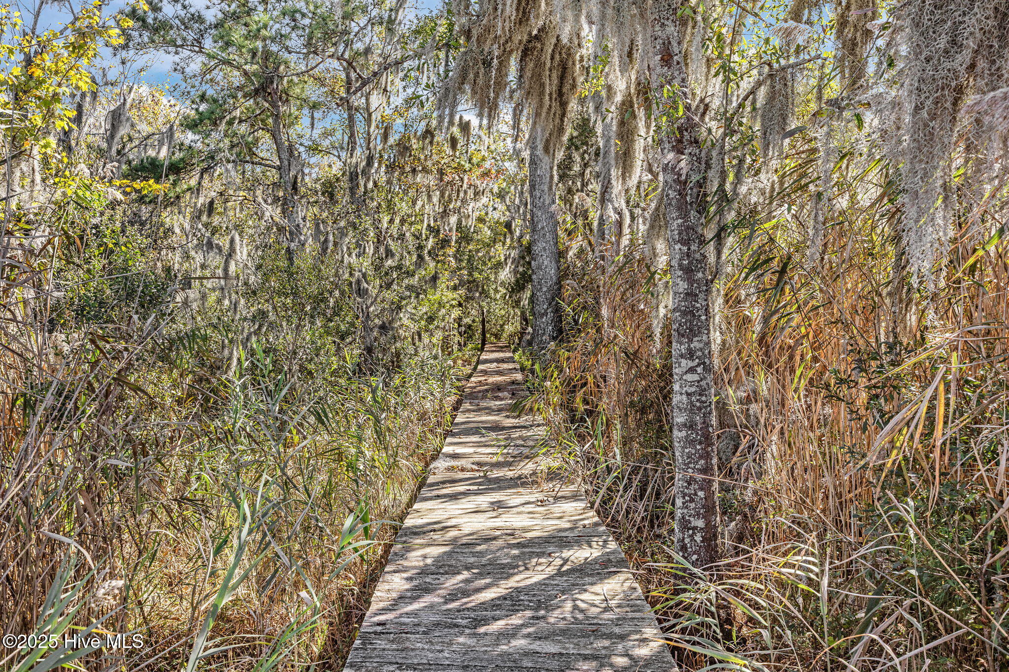 Homes for sale in Columbia, NC | 348 Country Estate Rd, Columbia, NC 27925 | MLS# 100537721