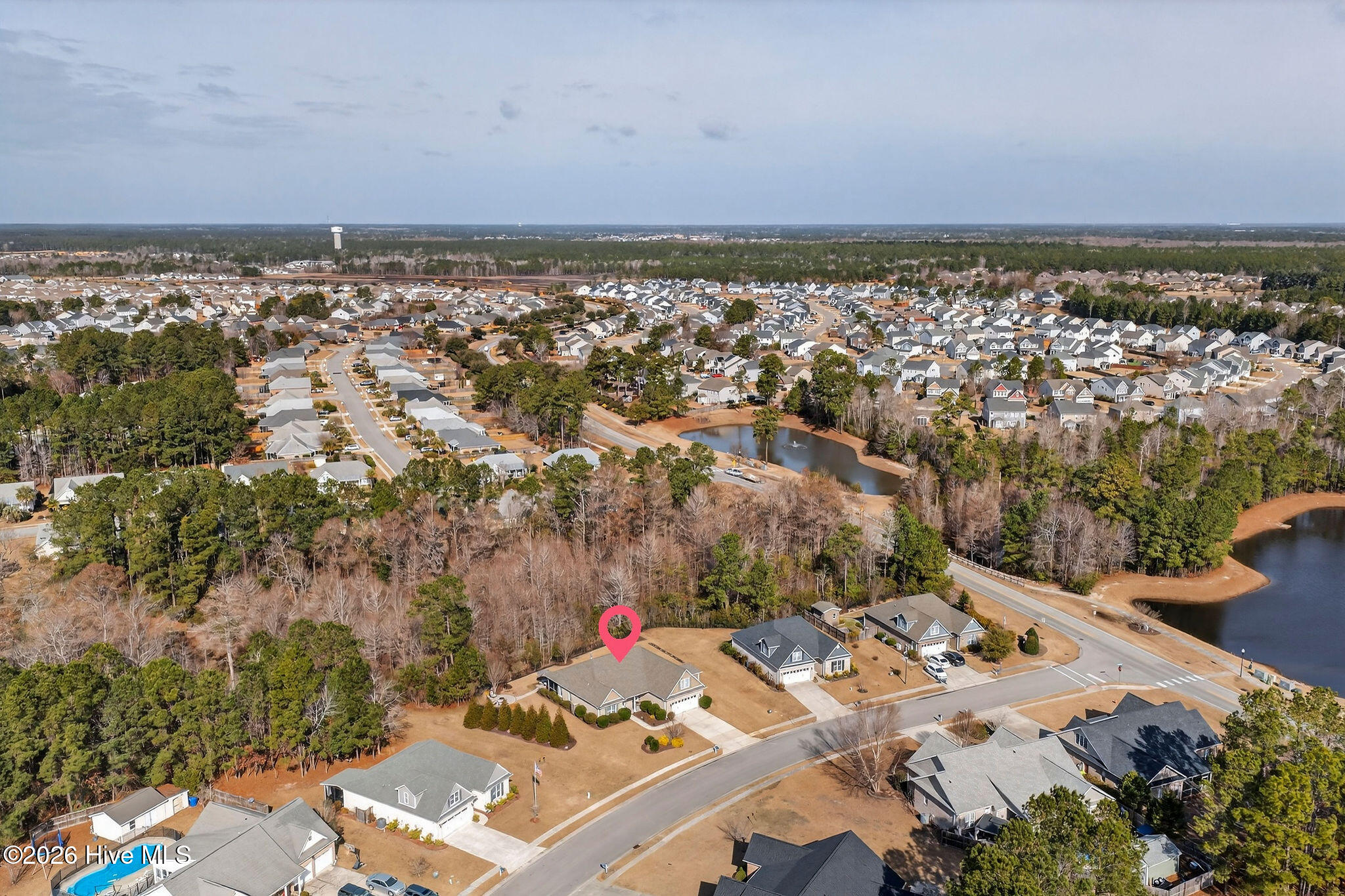 100558265 | Photo 58