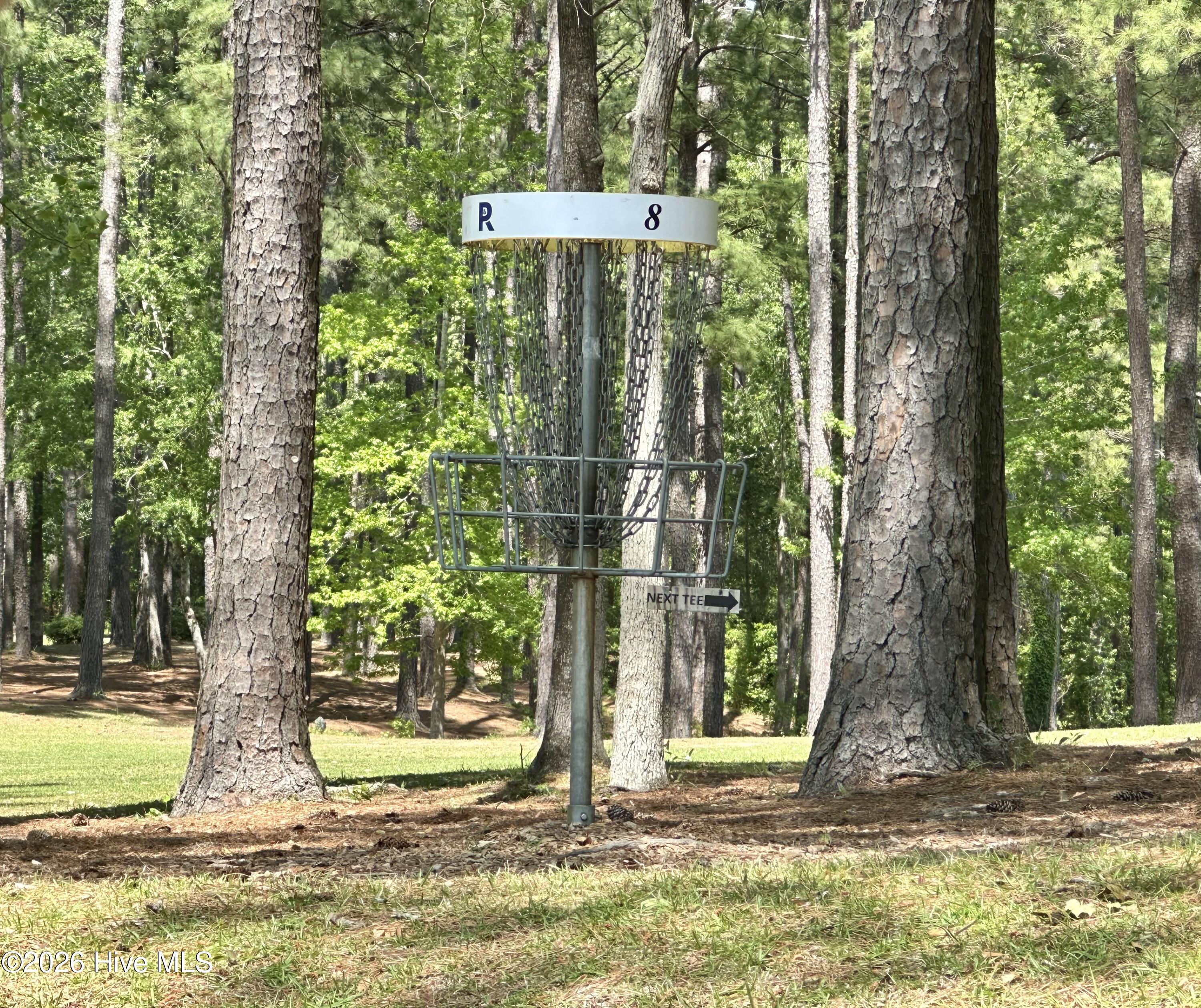 100567713 | Photo 30